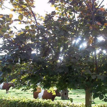 B&B Slaoperij Orvelte Dış mekan fotoğraf